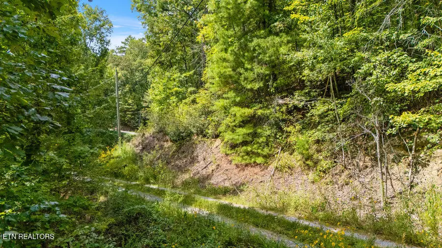 4143 Lumber Jack Way, Sevierville, TN 37876 - #3