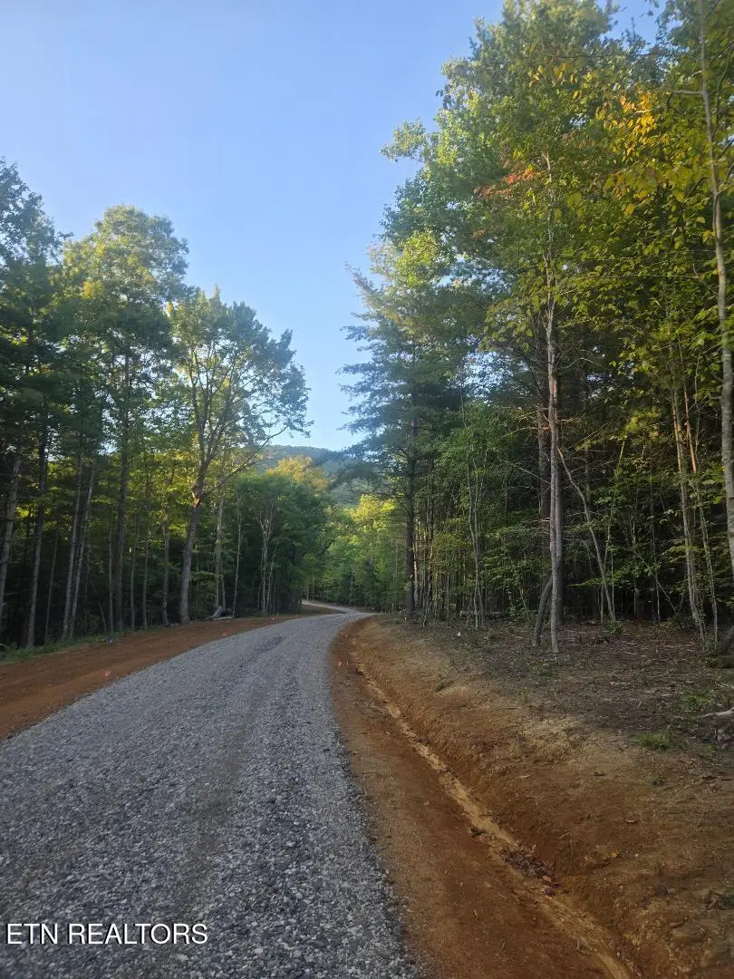 Lot 6 Bk I Ravenwood Drive, Wartburg, TN 37887 - #1