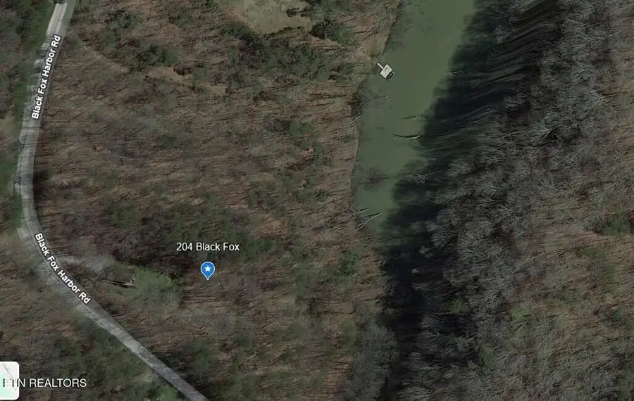 204 Black Fox Rd, Washburn, TN 37888 - #3