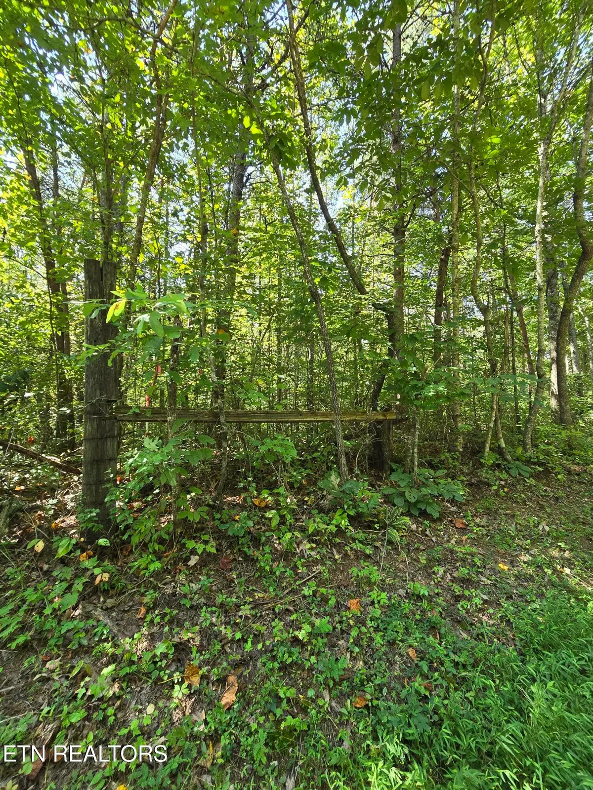 0 Old Rugby Pike, Robbins, TN 37852 - #1