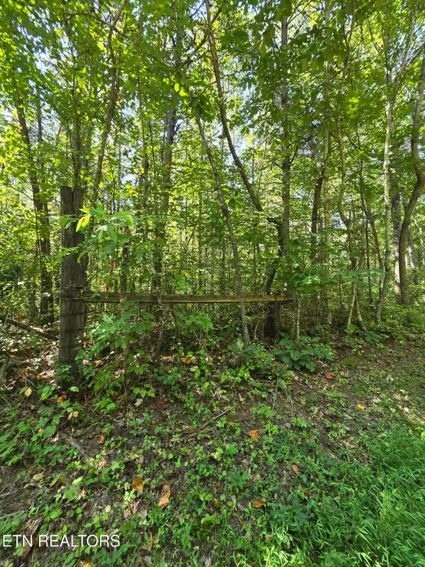 0 Old Rugby Pike, Robbins, TN 37852