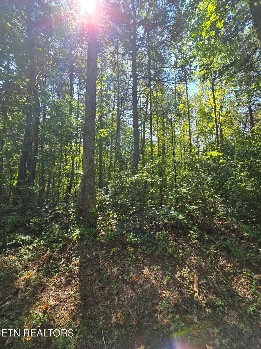 0 Old Rugby Pike, Robbins, TN 37852 - #2