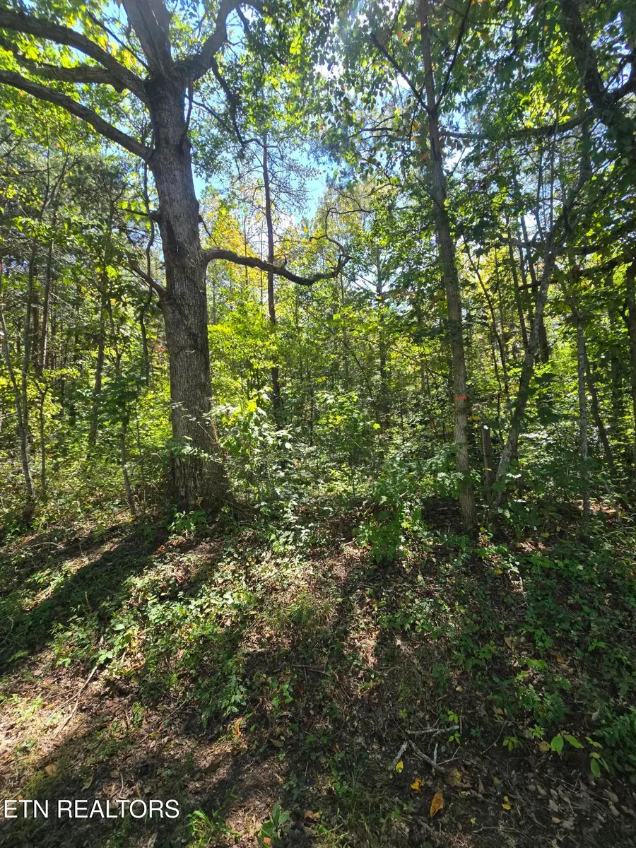 0 Old Rugby Pike, Robbins, TN 37852 - #3
