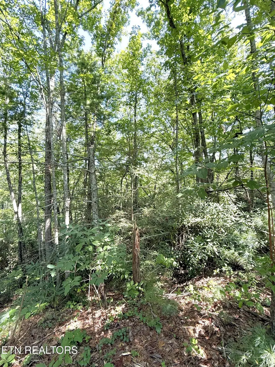 Lot 4 Oakwood Rd, Walland, TN 37886 - #2