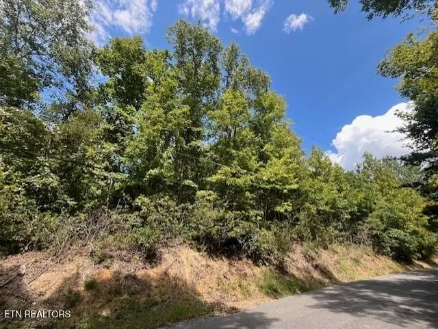 00 Overview Drive, Gatlinburg, TN 37738 - #1