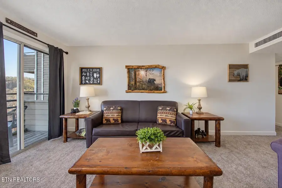1260 Ski View Drive #APT 8204, Gatlinburg, TN 37738 - #3