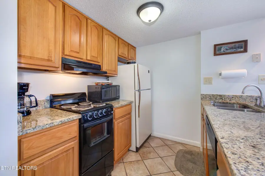 1380 Ski View Drive #APT 4304, Gatlinburg, TN 37738 - #3