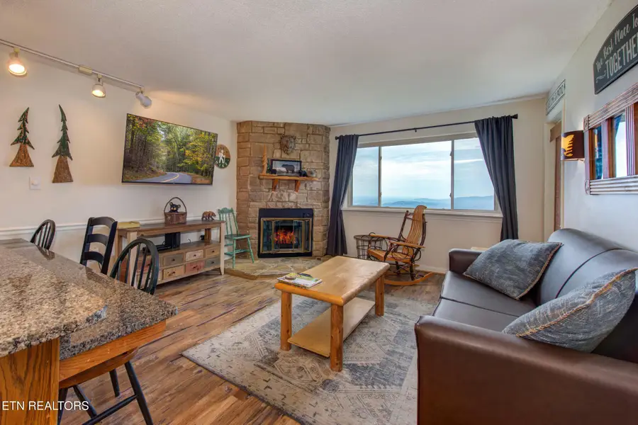 1380 Ski View Drive #APT 5202, Gatlinburg, TN 37738 - #3
