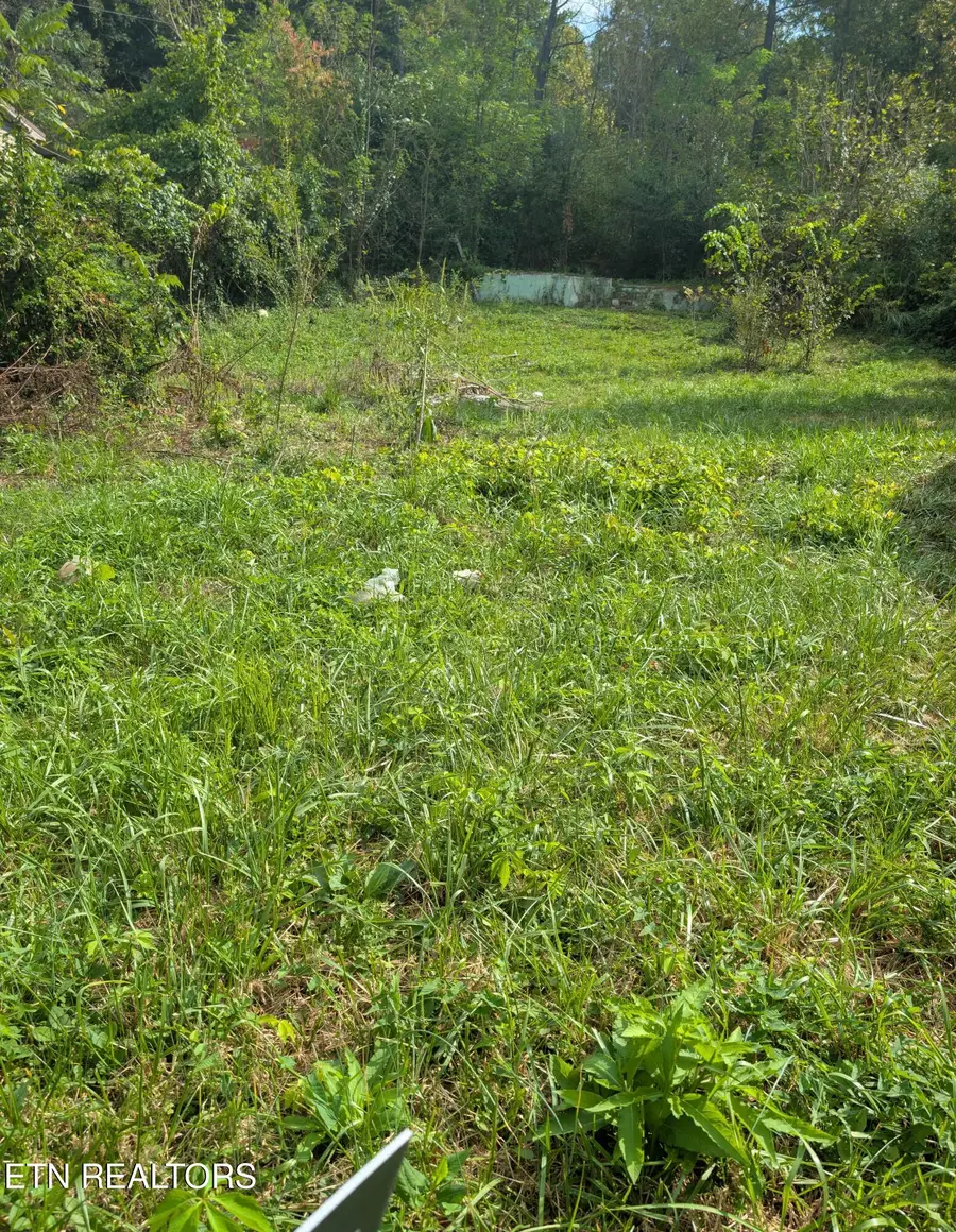 23 Martin Lane, Middlesboro, KY 40965 - #2