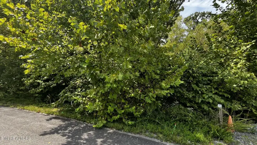 Emerald Pointe Blvd, Sevierville, TN 37876 - #2