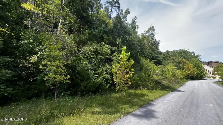 Emerald Pointe Blvd, Sevierville, TN 37876 - #3