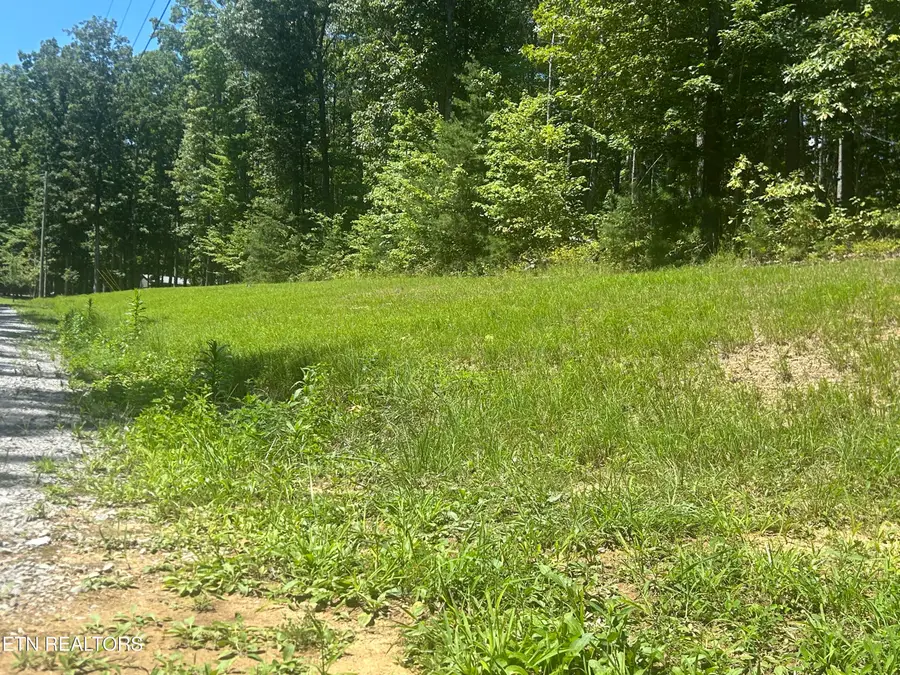 355 Partridge Tr, Grandview, TN 37337 - #3