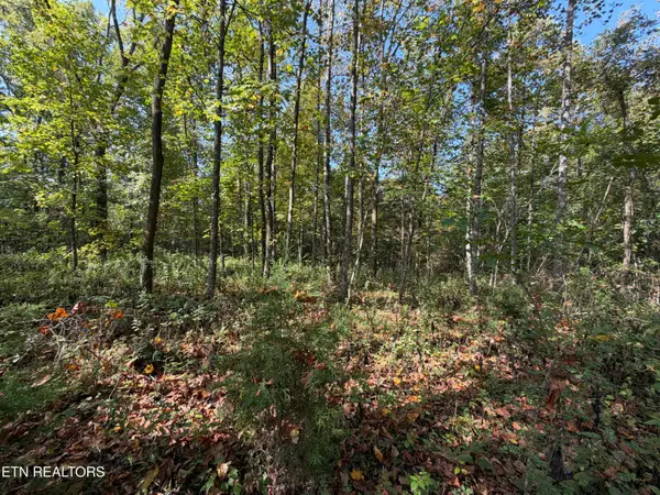 22.35 Ac Moore Knob Rd, Allardt, TN 38504