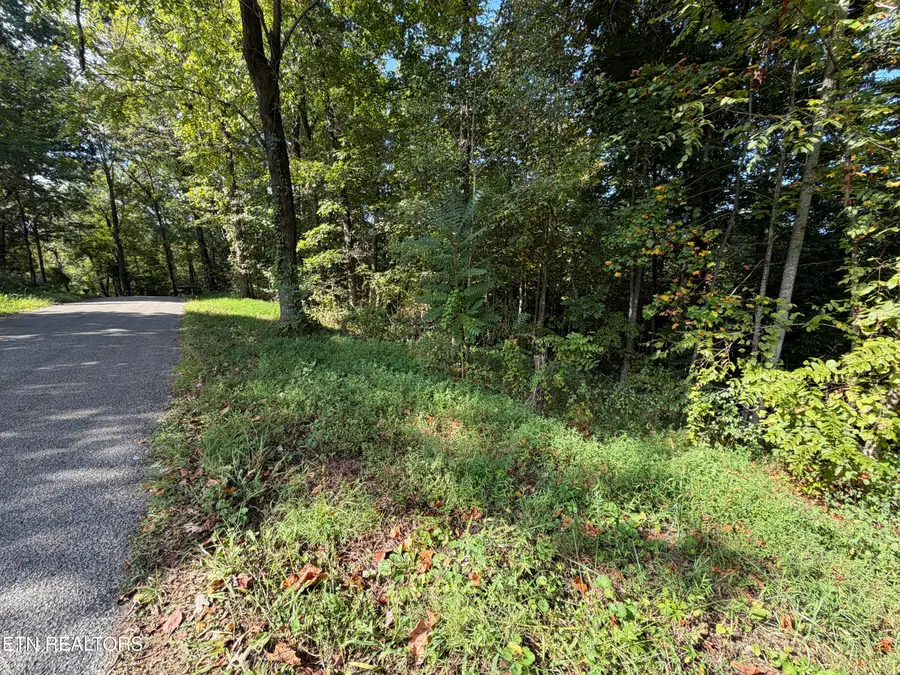 22.35 Ac Moore Knob Rd, Allardt, TN 38504 - #3