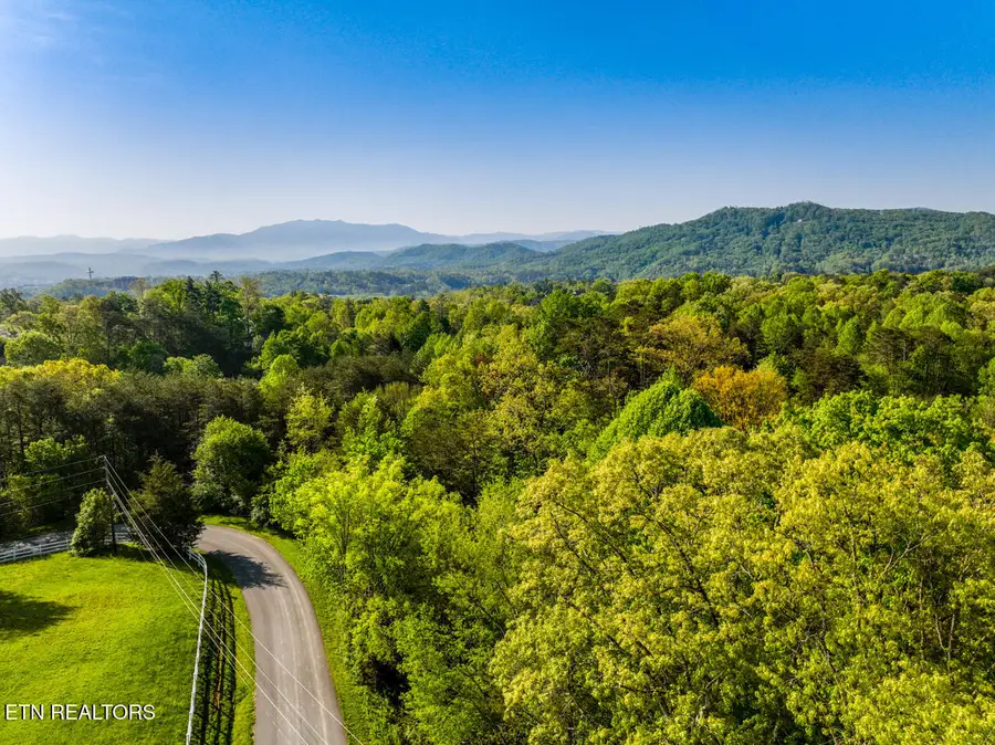 1140 Crestview Drive, Pigeon Forge, TN 37863 - #3