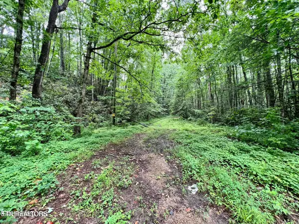 Sycamore St, Sevierville, TN 37876