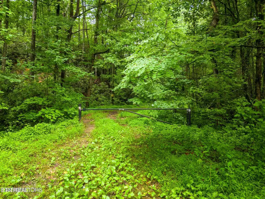Sycamore St, Sevierville, TN 37876 - #2
