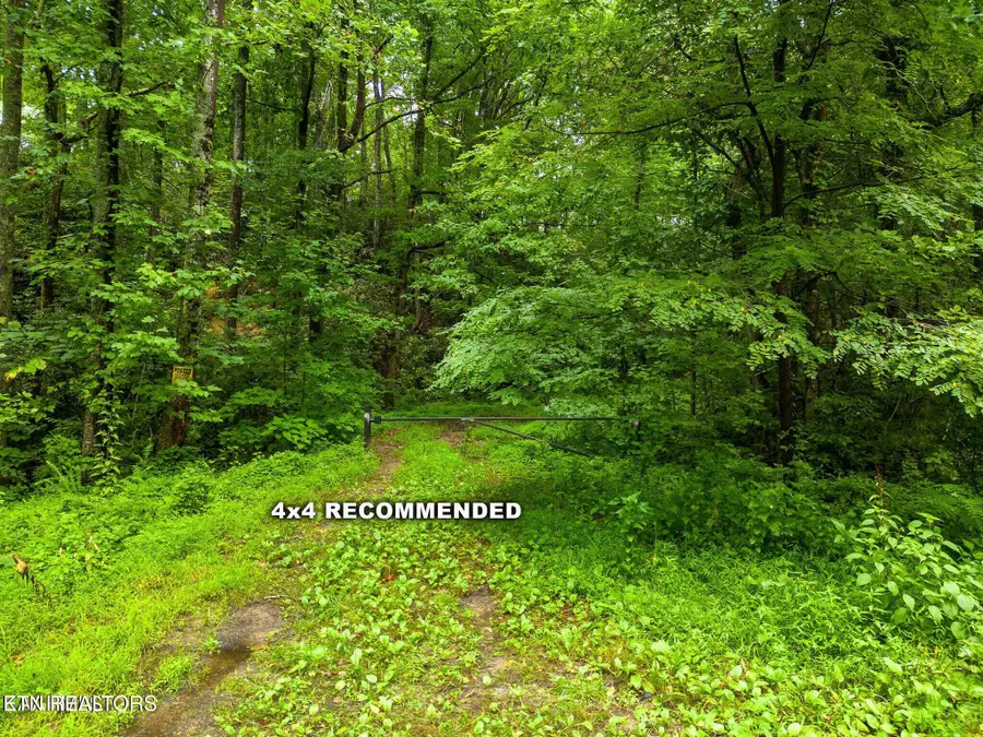 Sycamore St, Sevierville, TN 37876 - #3