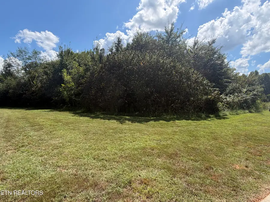 Lot 101 Falcon, Vonore, TN 37885 - #2