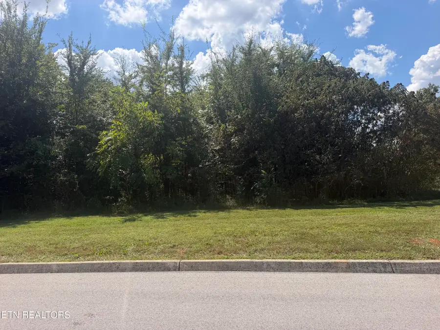 Lot 101 Falcon, Vonore, TN 37885 - #3