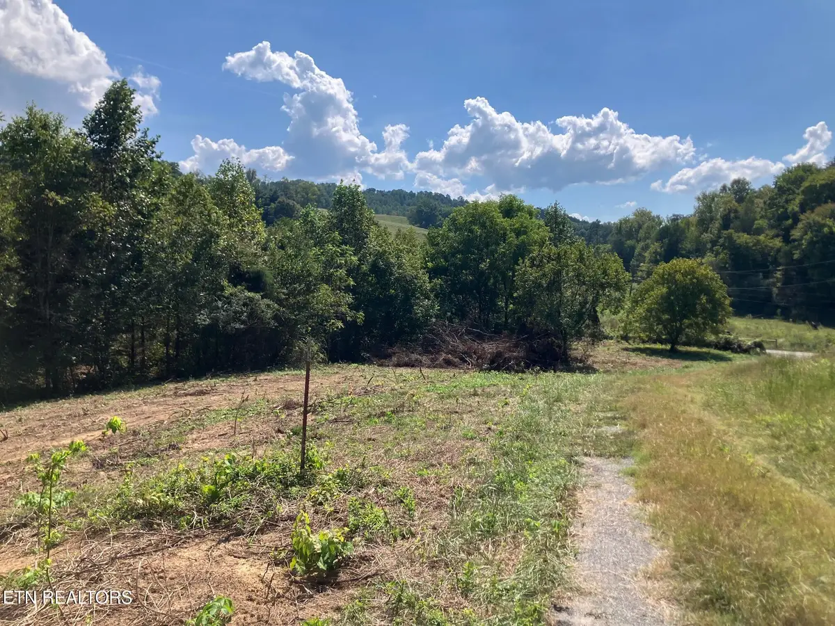 Tract 1 Ousley Gap Rd, Maynardville, TN 37807 - #1