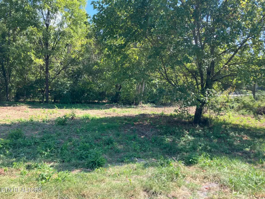 Tract 1 Ousley Gap Rd, Maynardville, TN 37807 - #3