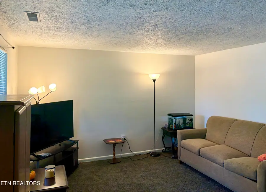 625 S Asbury Drive #20, Pigeon Forge, TN 37863 - #2