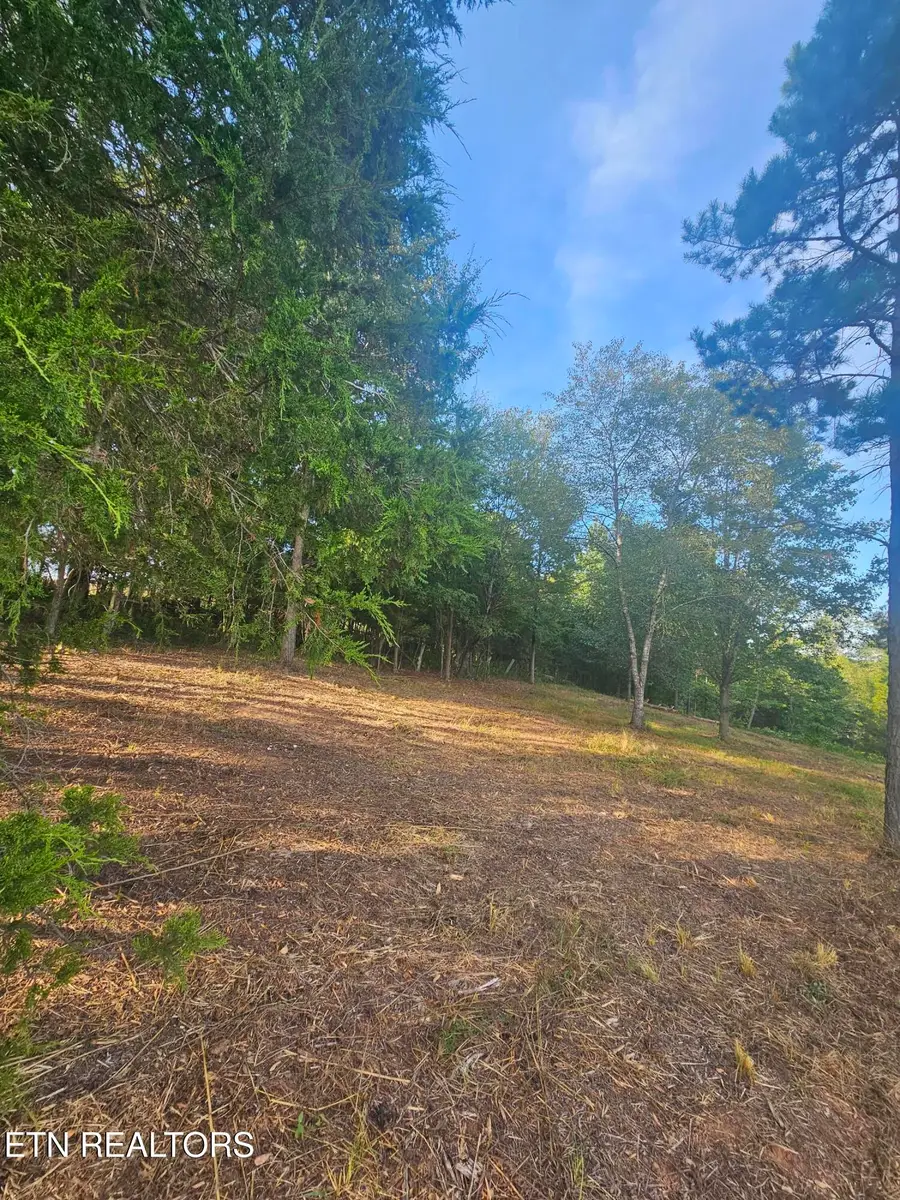 103 & 105 Docks Of The Bay Drive, Rockwood, TN 37854 - #3