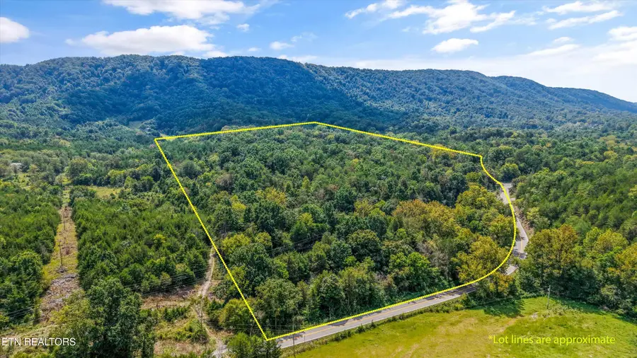 Highway 131 West, Treadway, TN 37881 - #2