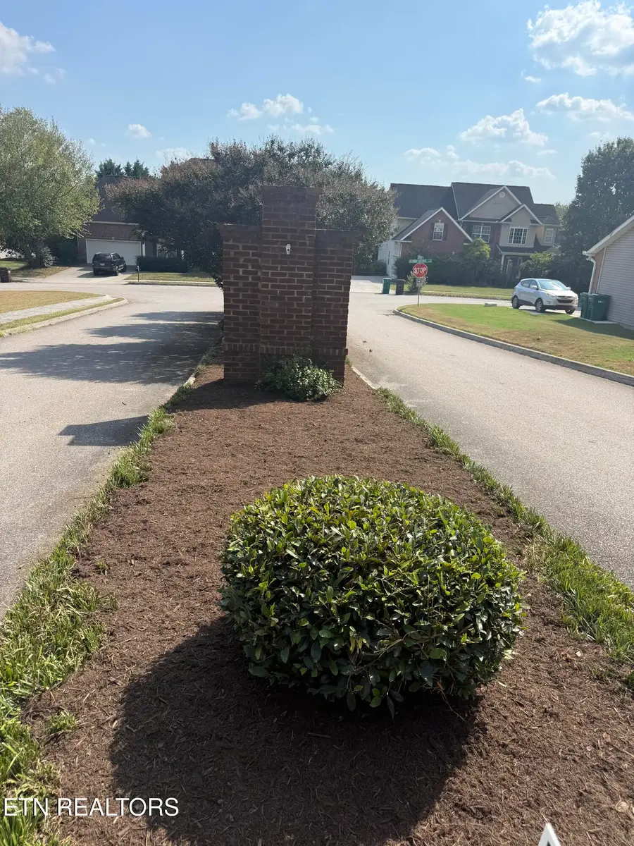 9243 Sway Branch Lane, Knoxville, TN 37922 - #2