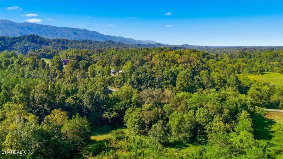 Ellejoy Rd, Seymour, TN 37865 - #2