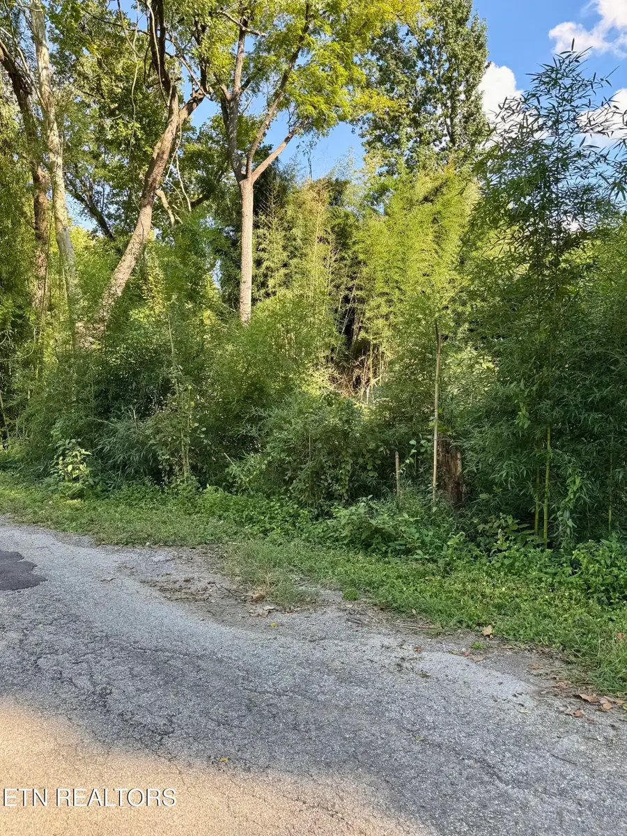 S Lenoir Ave, Rockwood, TN 37854 - #2