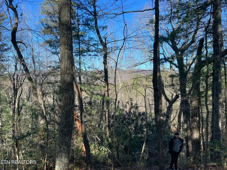 TBD Walnut Flats Rd, Walland, TN 37886 - #2