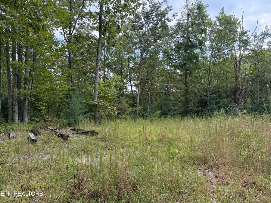 TBD Green Ridge Tr, Harriman, TN 37748 - #2