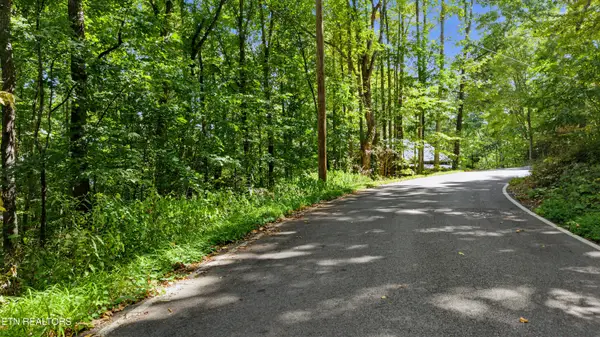 Old Cades Cove Rd, Townsend, TN 37882