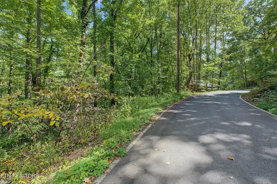Old Cades Cove Rd, Townsend, TN 37882 - #3