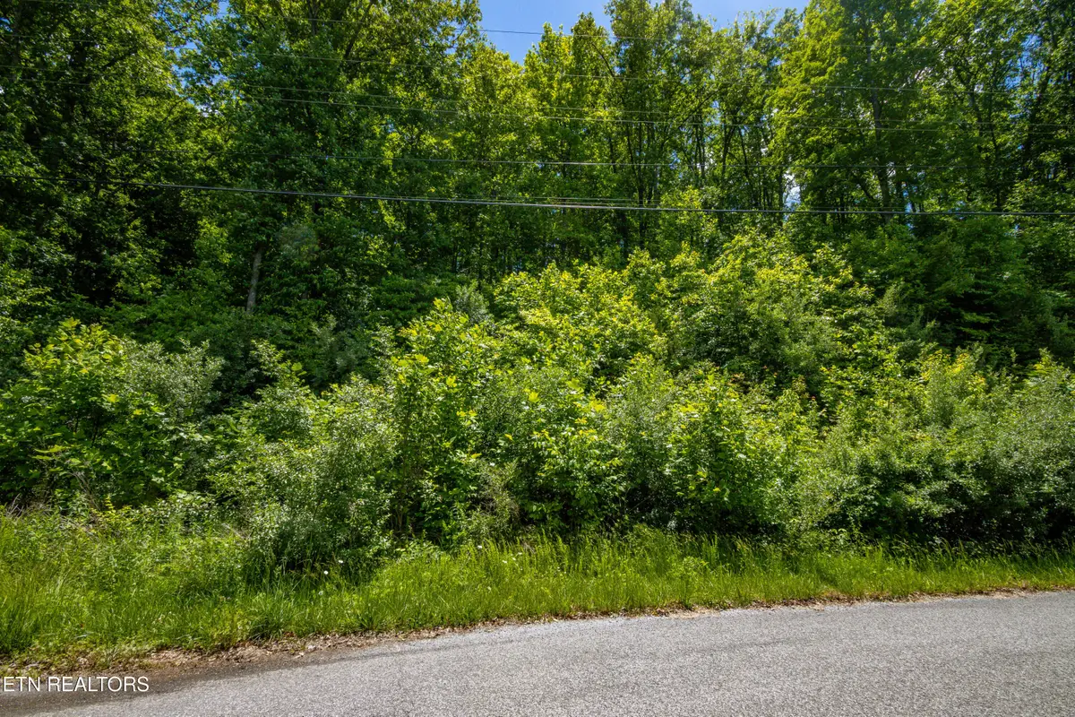 Lot 18 Saddleridge, Speedwell, TN 37870 - #1