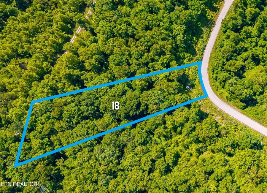 Lot 18 Saddleridge, Speedwell, TN 37870 - #2