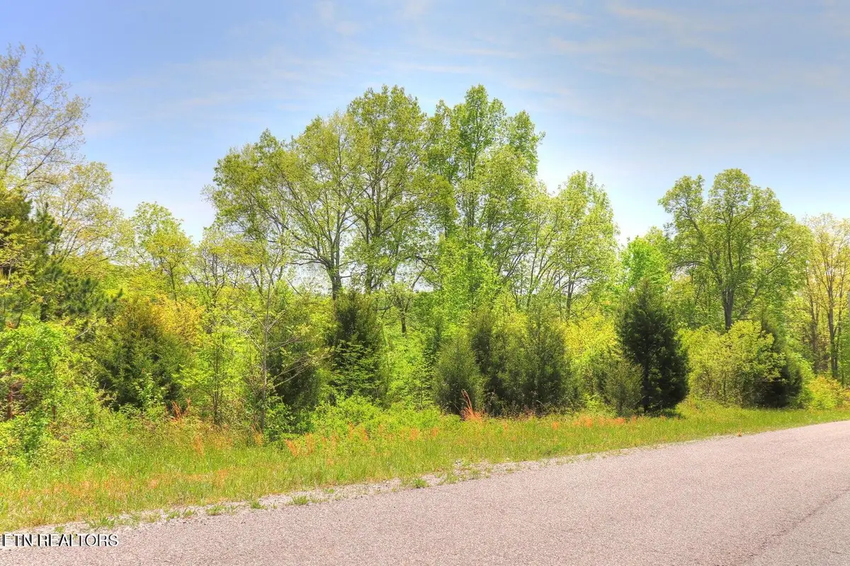 Lot 17 Saddleridge Drive, Speedwell, TN 37870 - #1