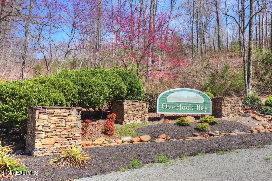 Lot 17 Saddleridge Drive, Speedwell, TN 37870 - #2