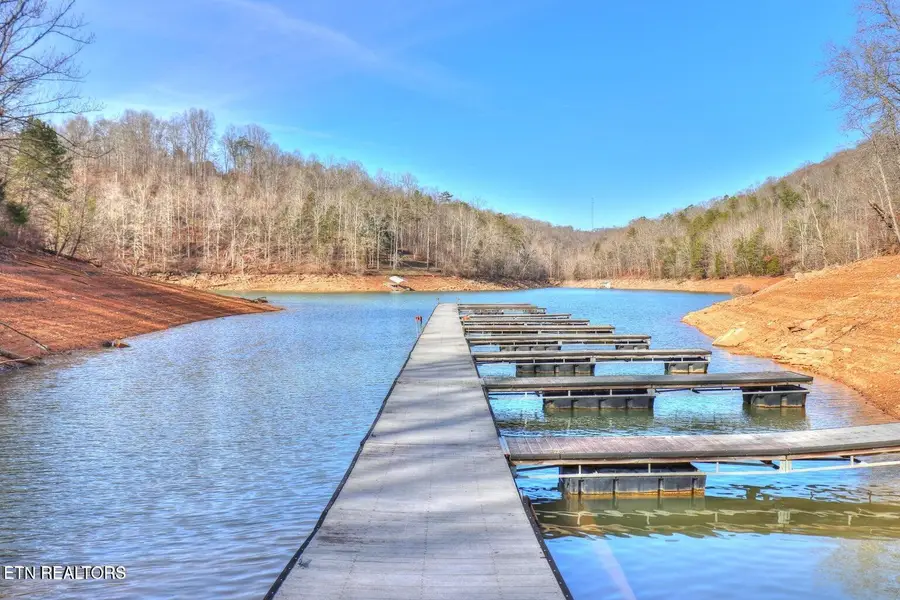 Lot 17 Saddleridge Drive, Speedwell, TN 37870 - #3