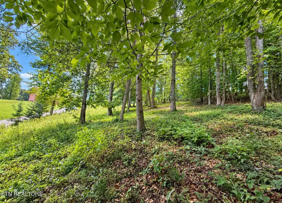 Foxwood Drive, Caryville, TN 37714 - #2