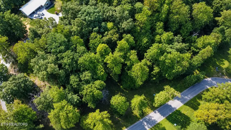 Foxwood Drive, Caryville, TN 37714 - #3