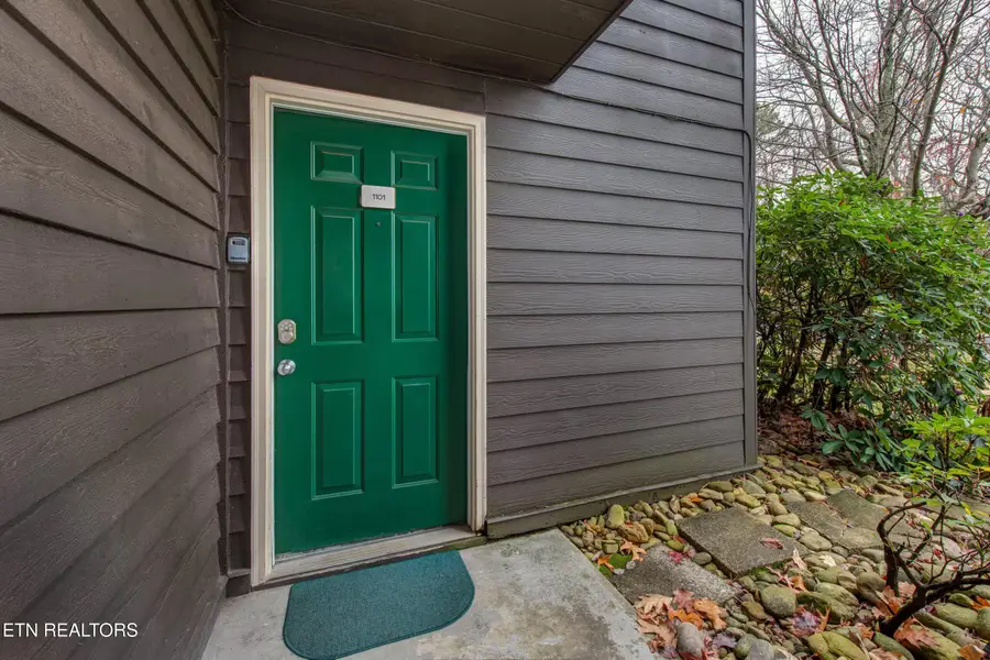 1380 Ski View Drive #UNIT 1101, Gatlinburg, TN 37738 - #2