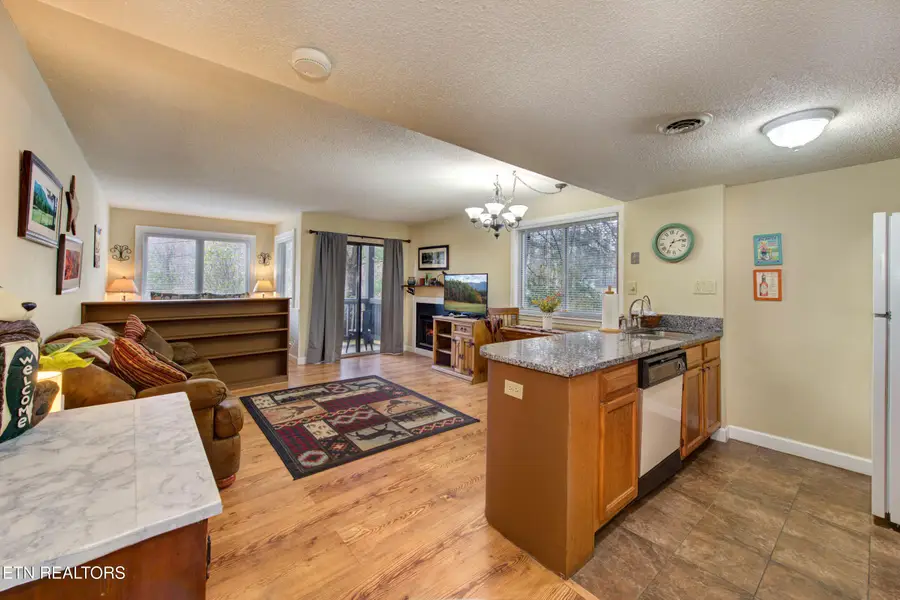 1380 Ski View Drive #UNIT 1101, Gatlinburg, TN 37738 - #3