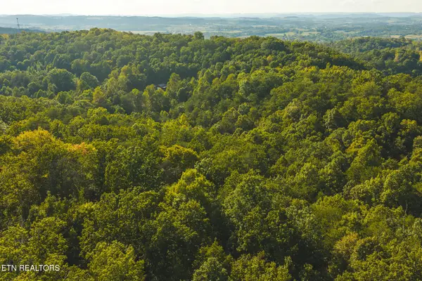 8.62 AC Stone Mountain Rd, Bulls Gap, TN 37711