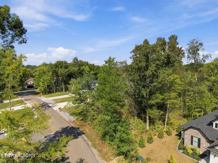 333 Nuhya Lane, Loudon, TN 37774 - #3