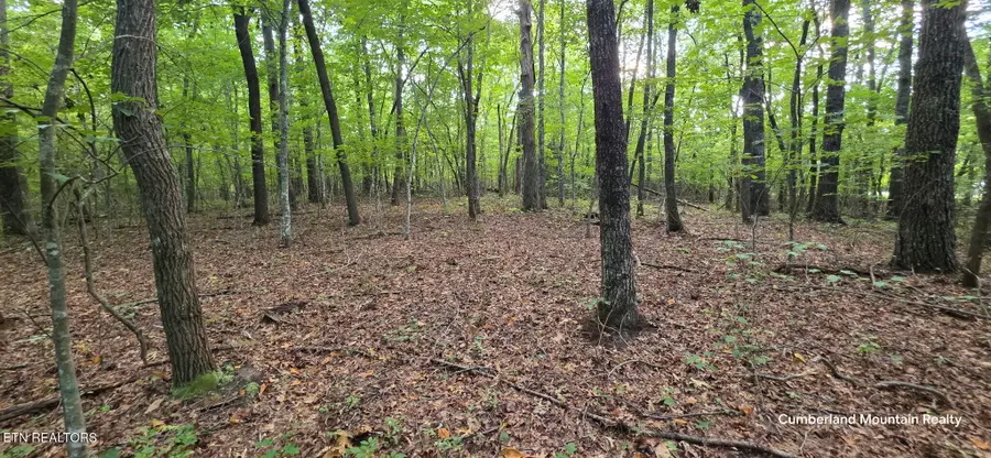 Birch Place, Monterey, TN 38574 - #2