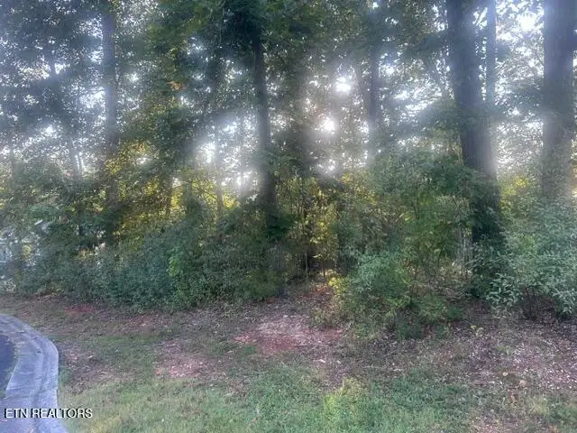 211 Ottawa Place, Loudon, TN 37774 - #1