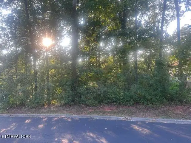 211 Ottawa Place, Loudon, TN 37774 - #2